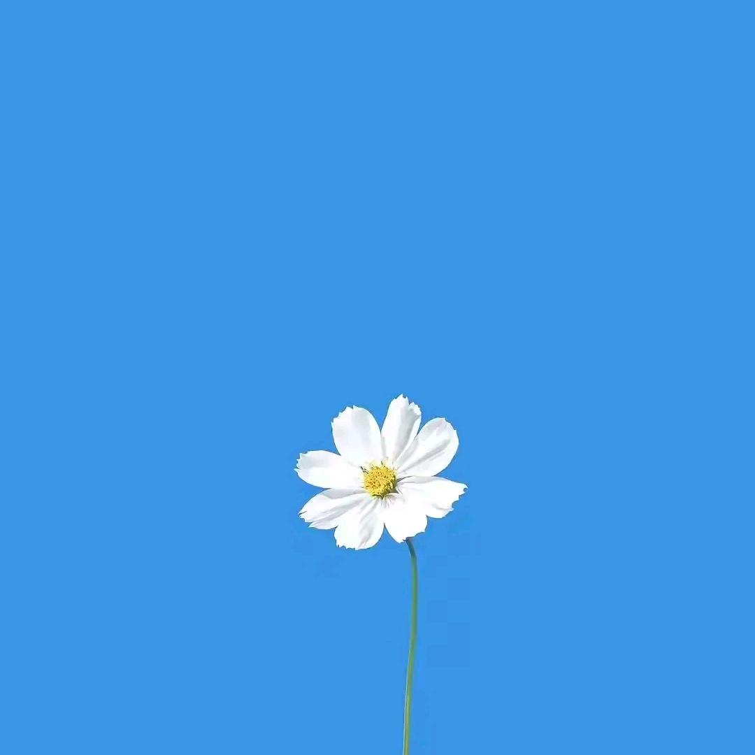 查无此人