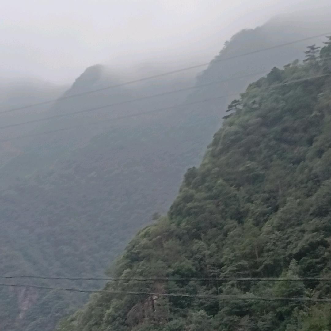 不成佛既成魔！