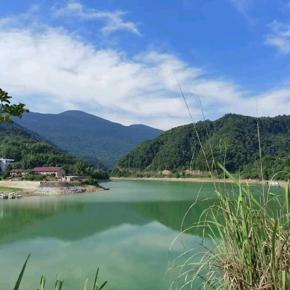 PET保护膜涂布厂家