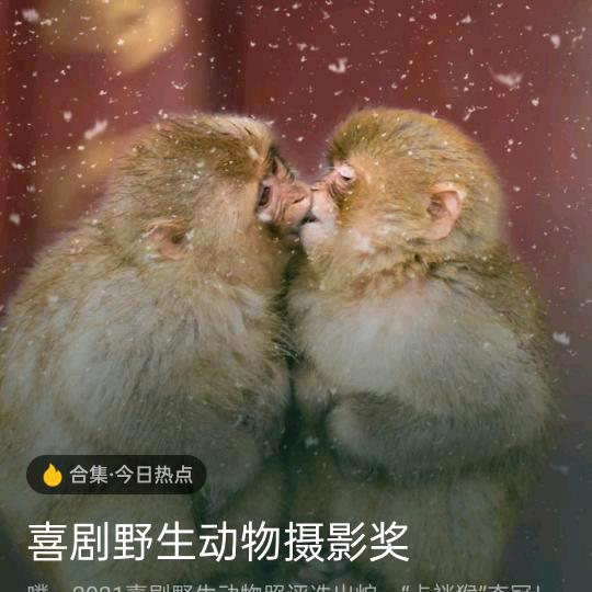 用户8336322382724