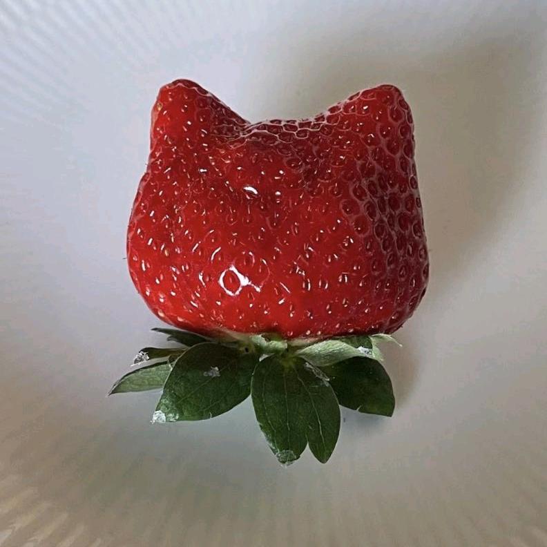 不离春夏秋冬