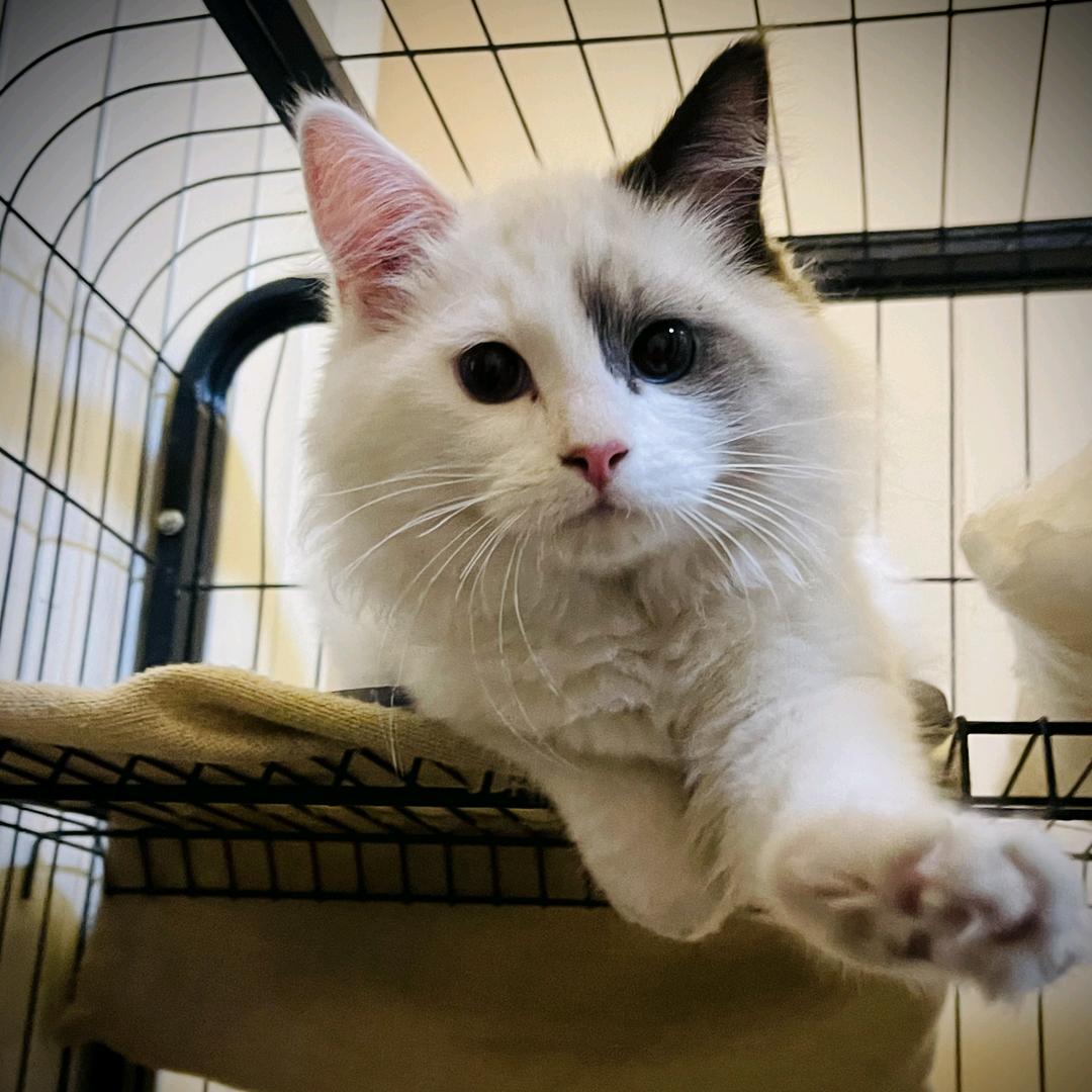 竹雲山装修设计 | 阿宁