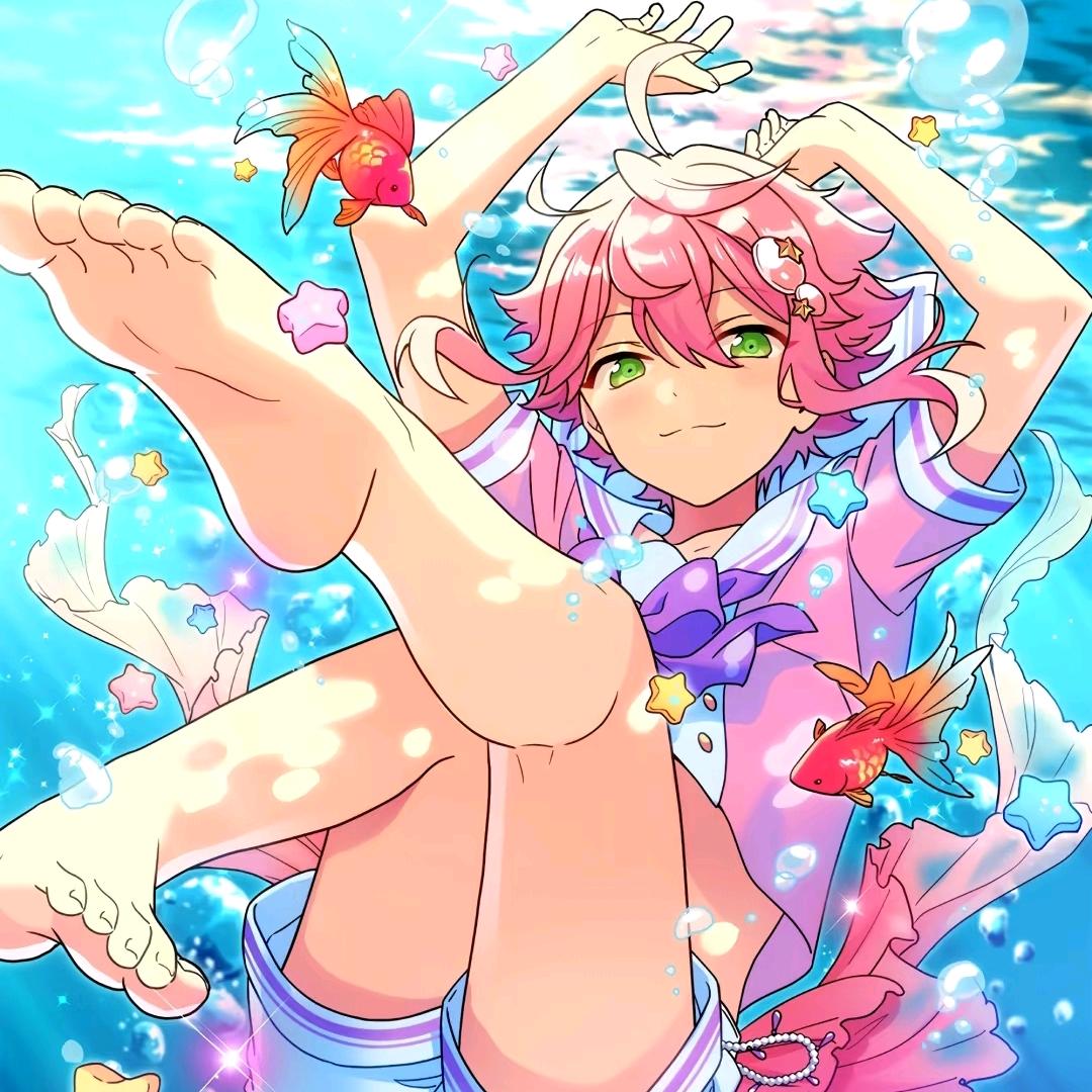 池間鳥^•͈༝•^ฅ