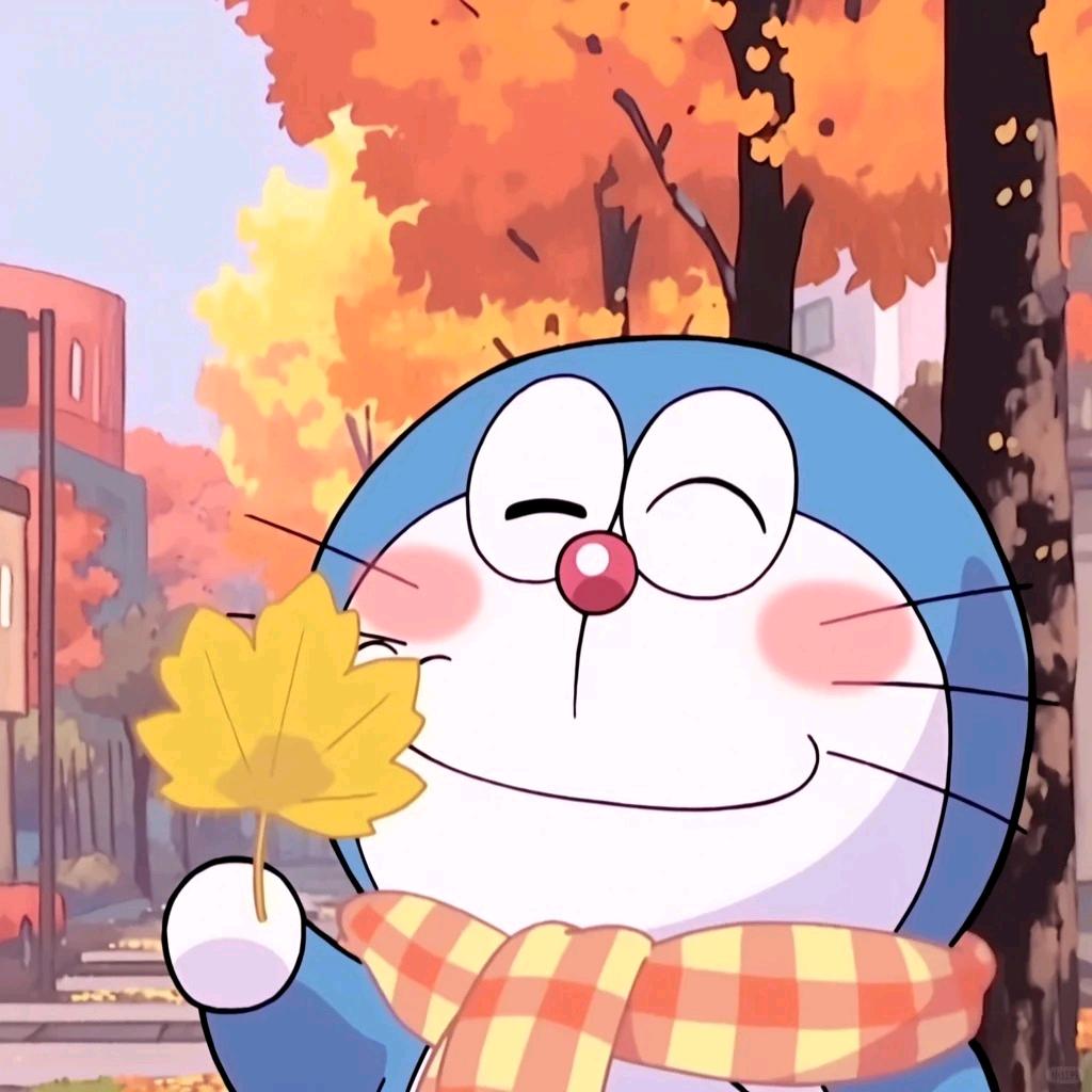 祖国的小花朵