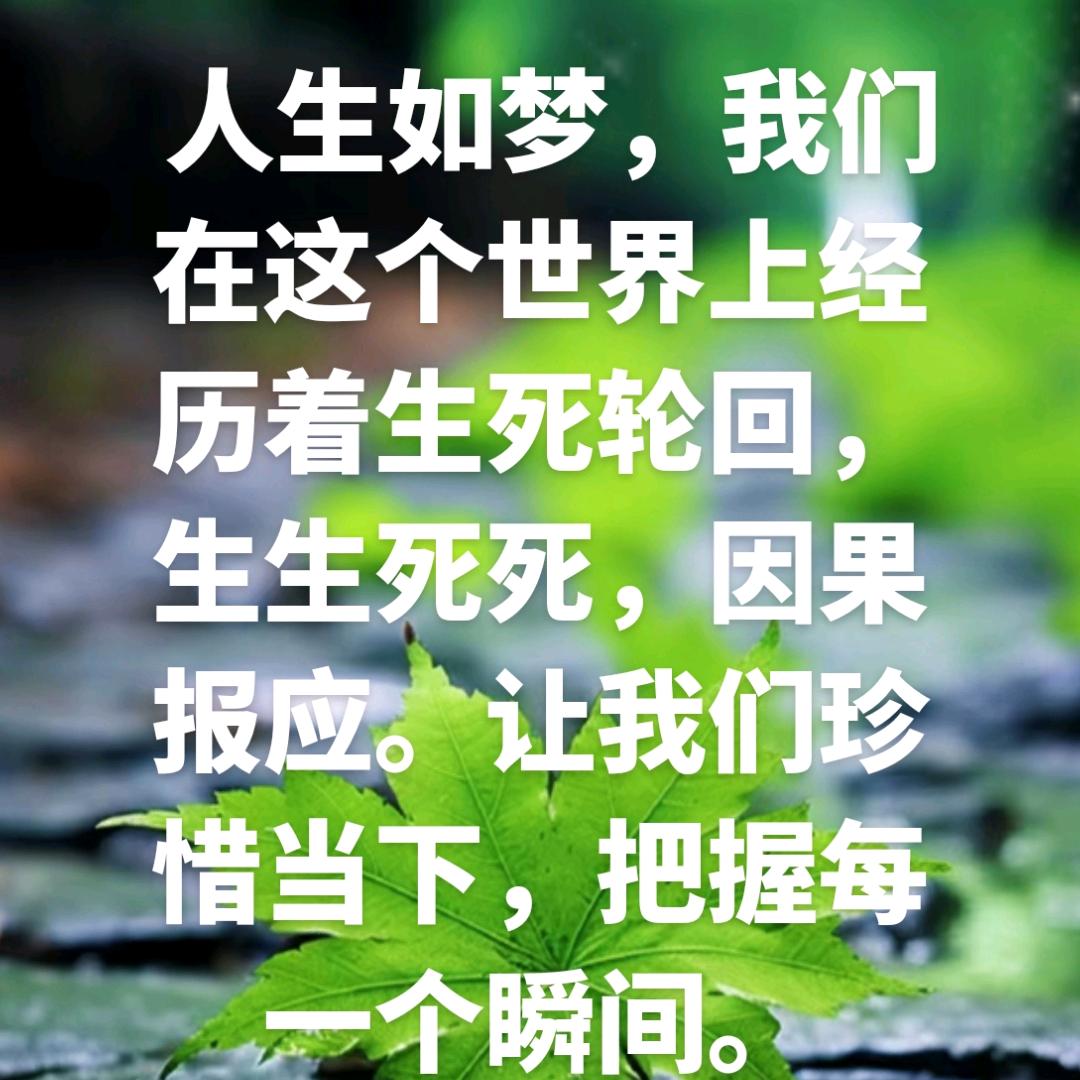 梦中空明