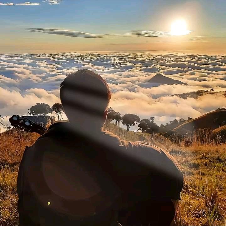 雾绕空山