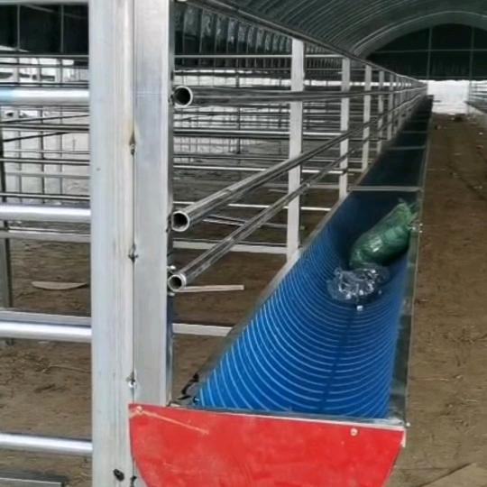 商丘养殖大棚养殖设备