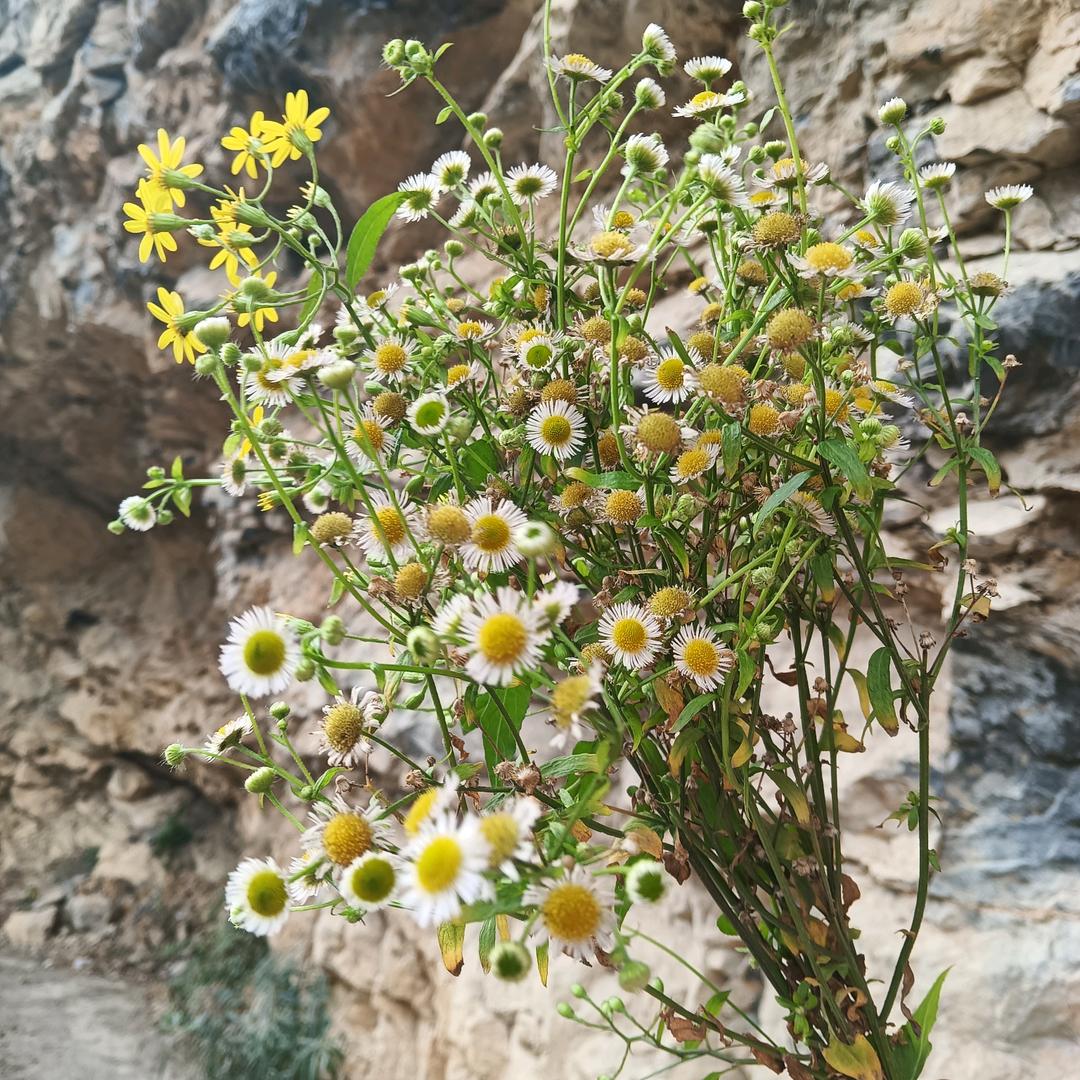 沐仙是个沙雕🌟