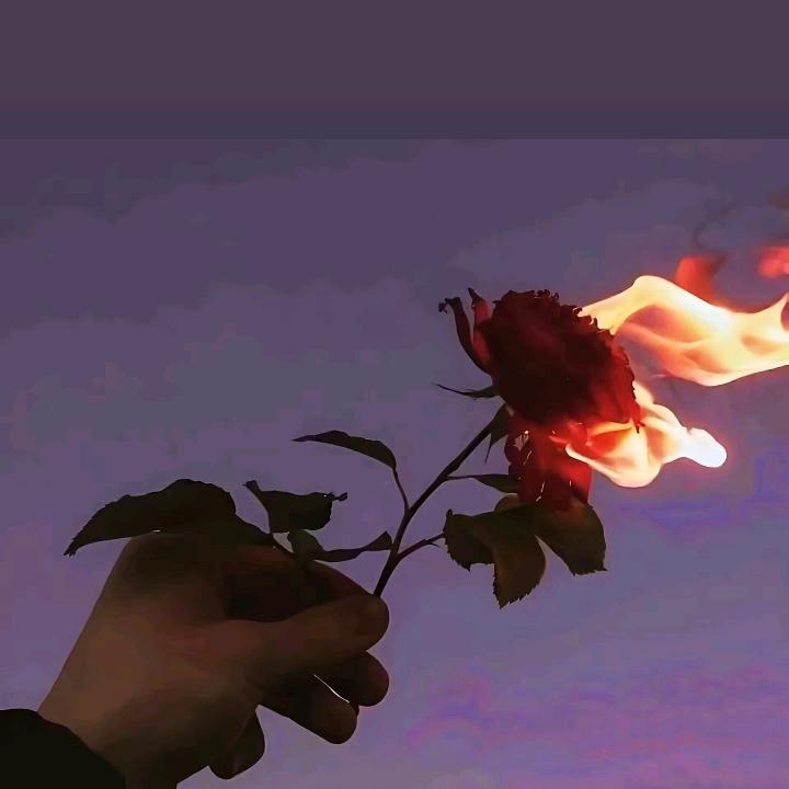 特别的爱给特别的你