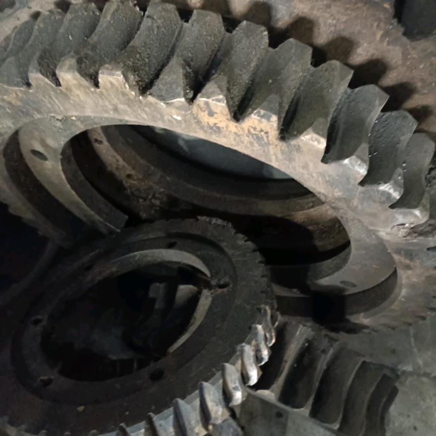 江阴云亭吴(铜)树🌲