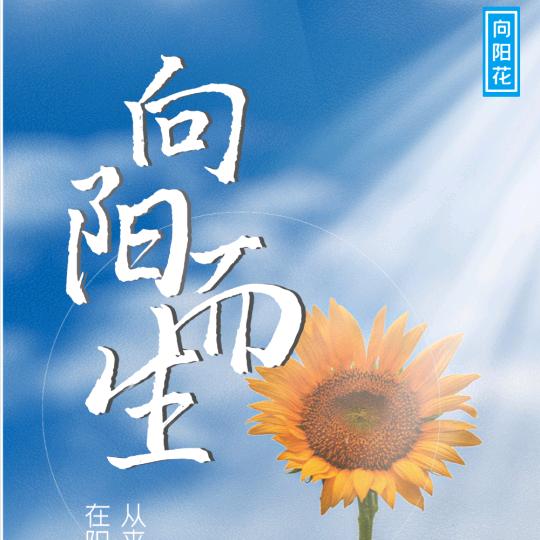 💎向阳头像