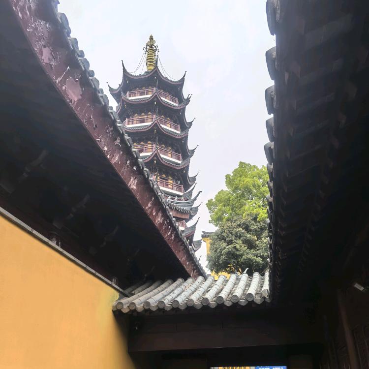 小李