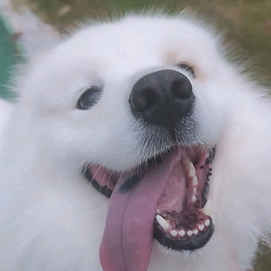 瞳瞳