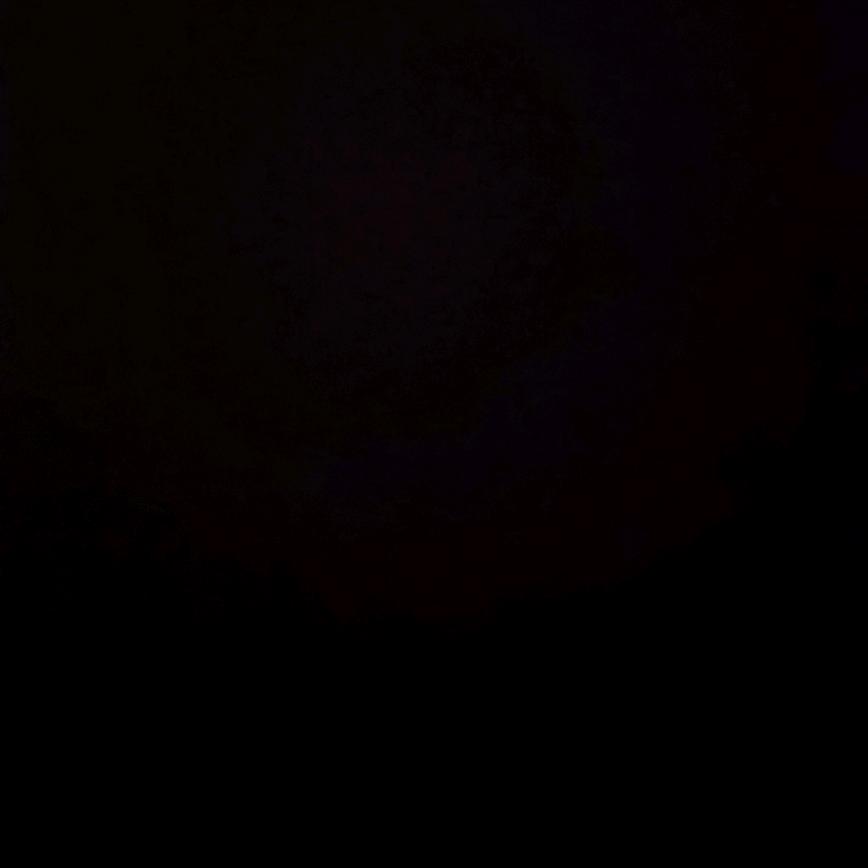 便池恶蝇