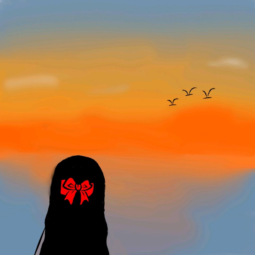 几只兎鸭