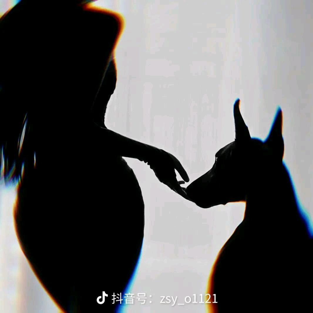 眷 恋.