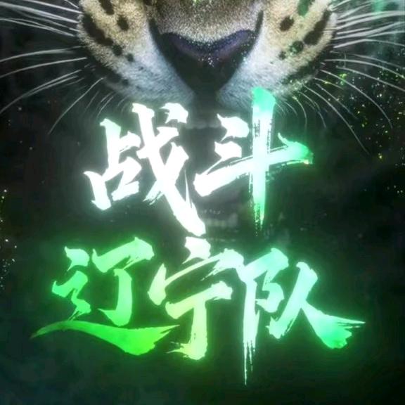 辽宁男篮猎豹