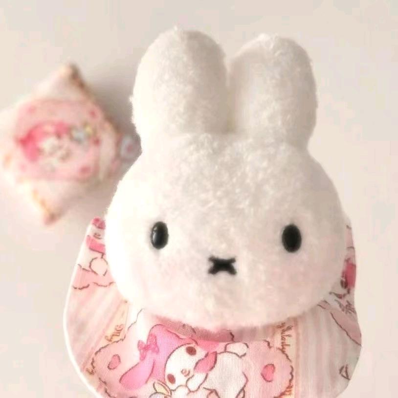 ₍ᐢ..ᐢ₎