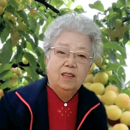 快乐老人💃💃
