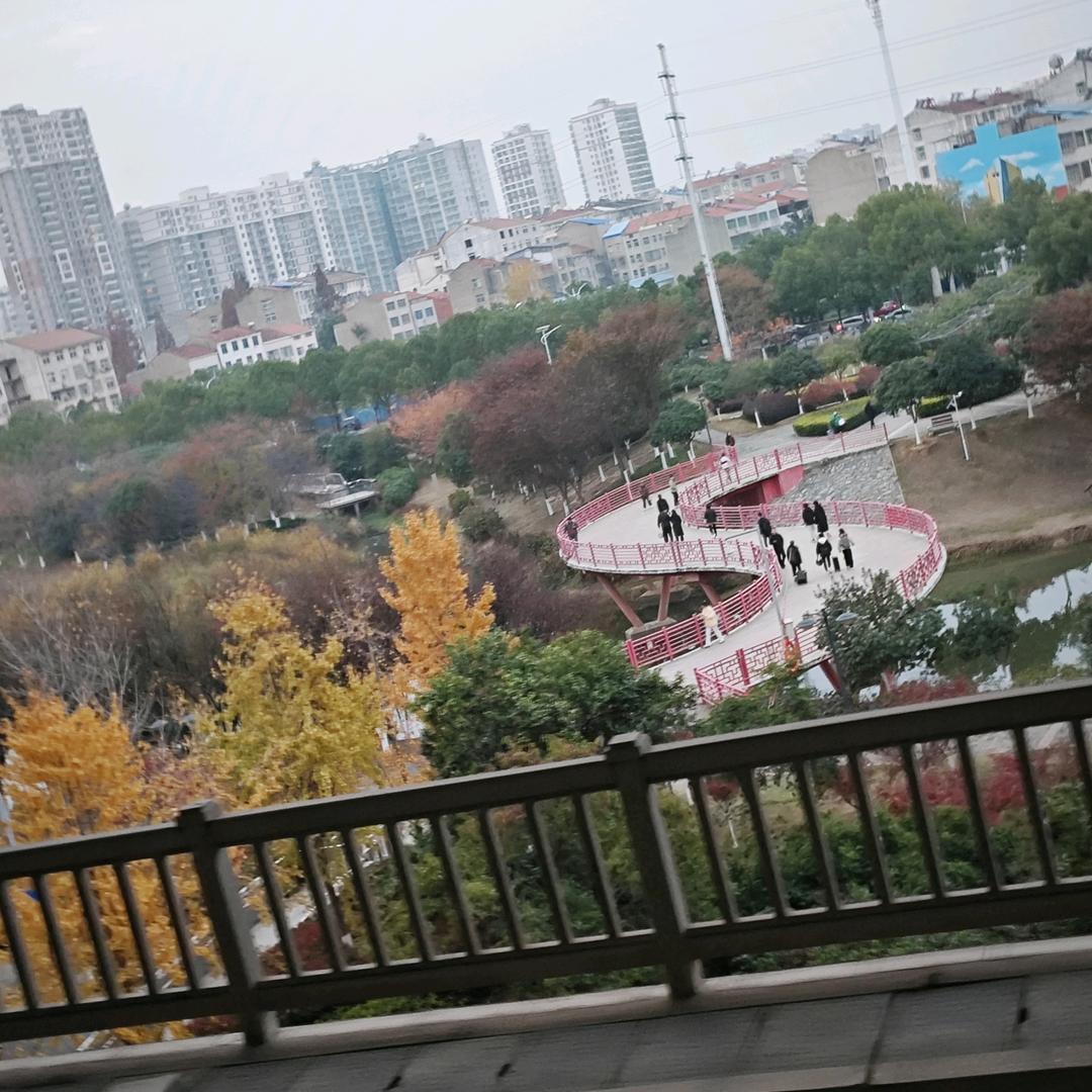 活动板房计算机嗯