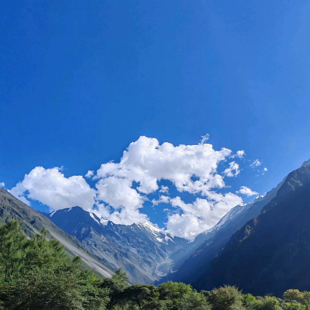 山咔咔的小伙子