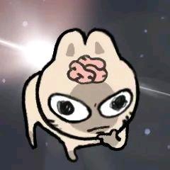 蝴蝶结豆豆眼