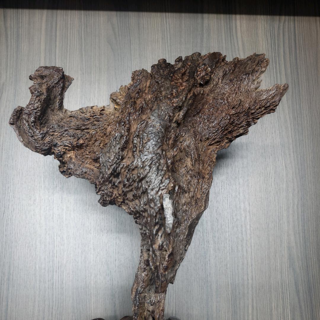 海岛寻宝海之楠