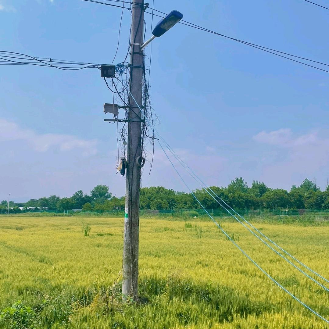 起春藤（见过十勤版）