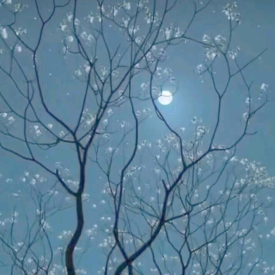 酆酆