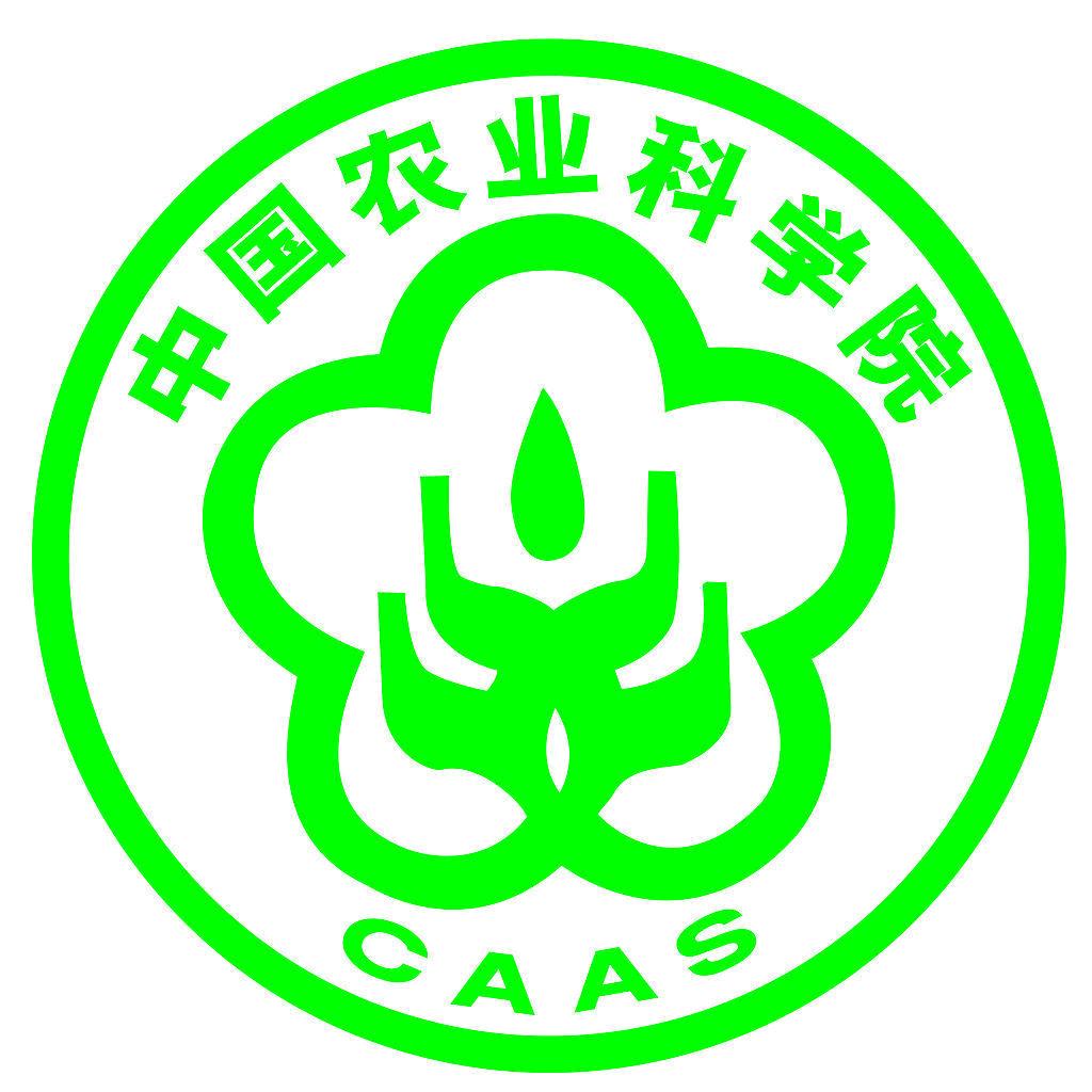 秦岭天麻