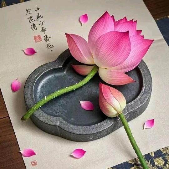 灵修子居士LH