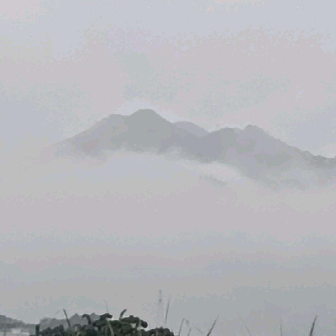 坐在坟头指挥鬼