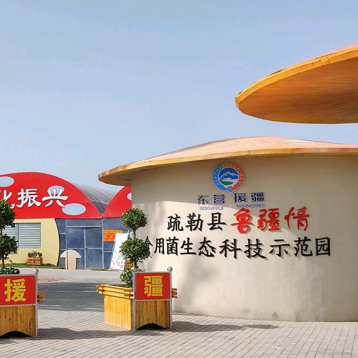 喀什小菇美