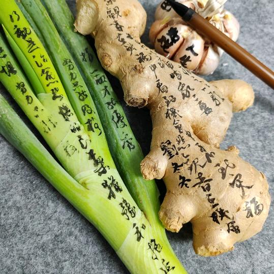 一心向阳