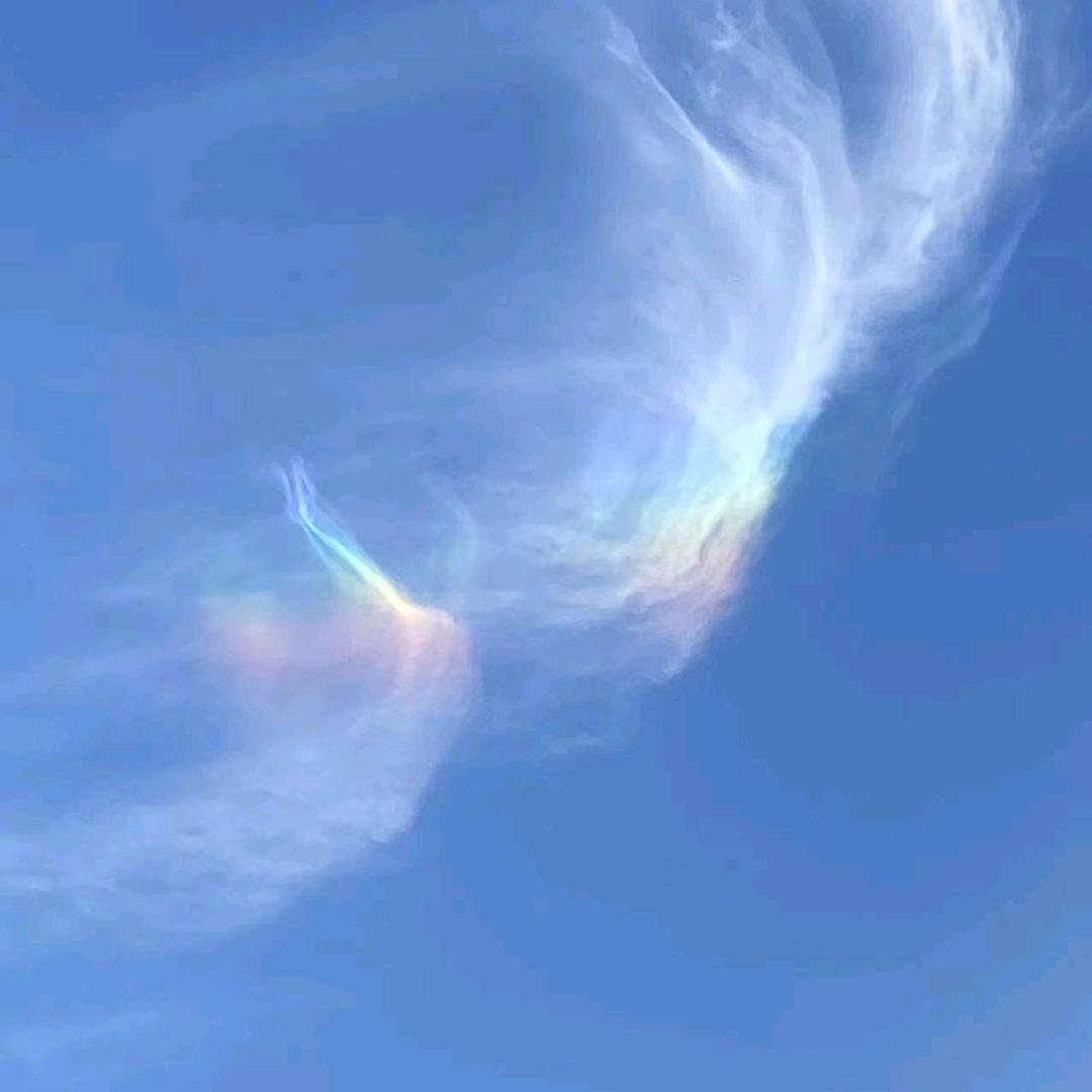 觉知～真心