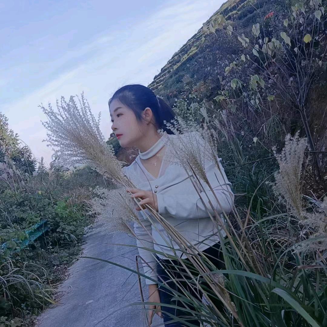 三打一朵朵