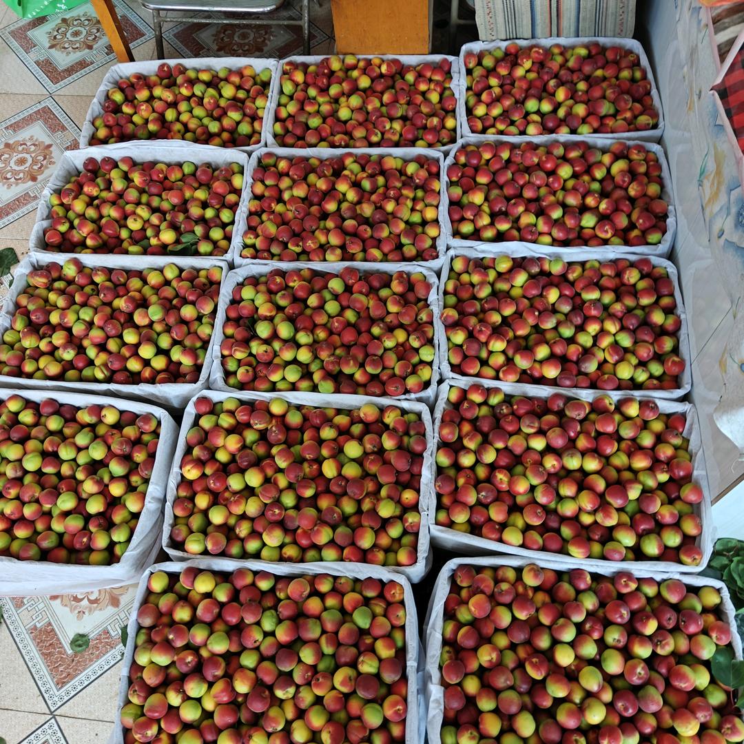 空人空心空世界