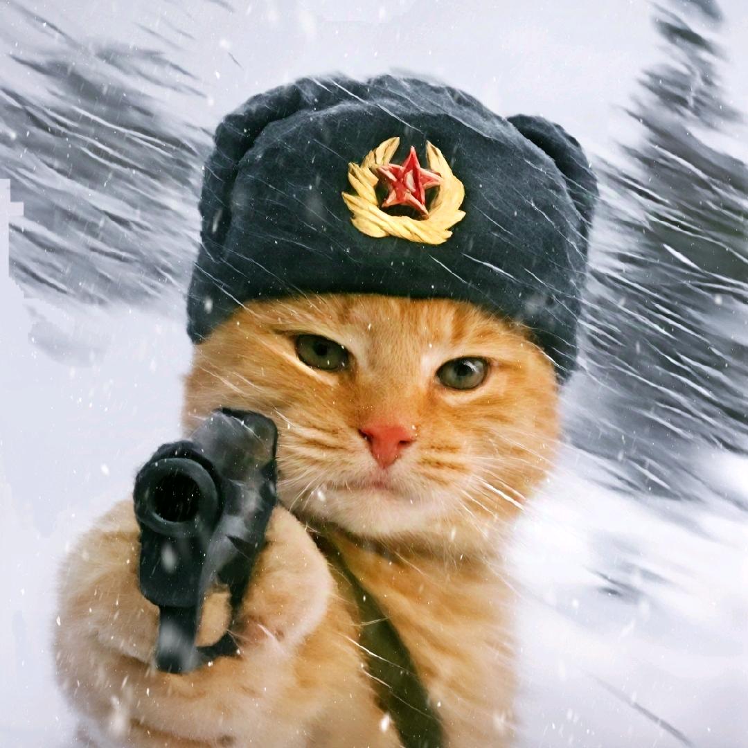 ๑⃙⃘´༥`๑⃙⃘