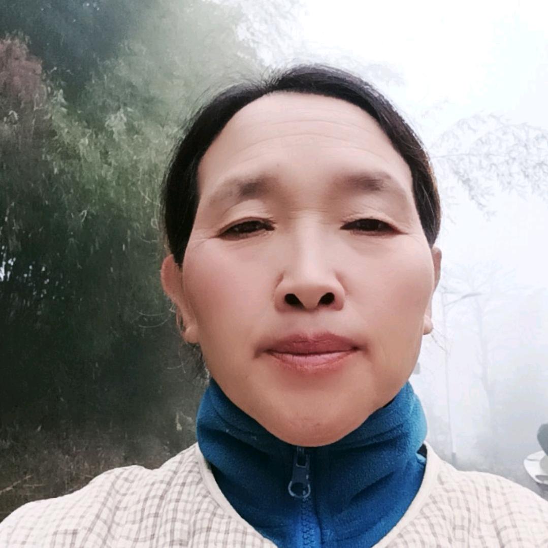 南飞雁