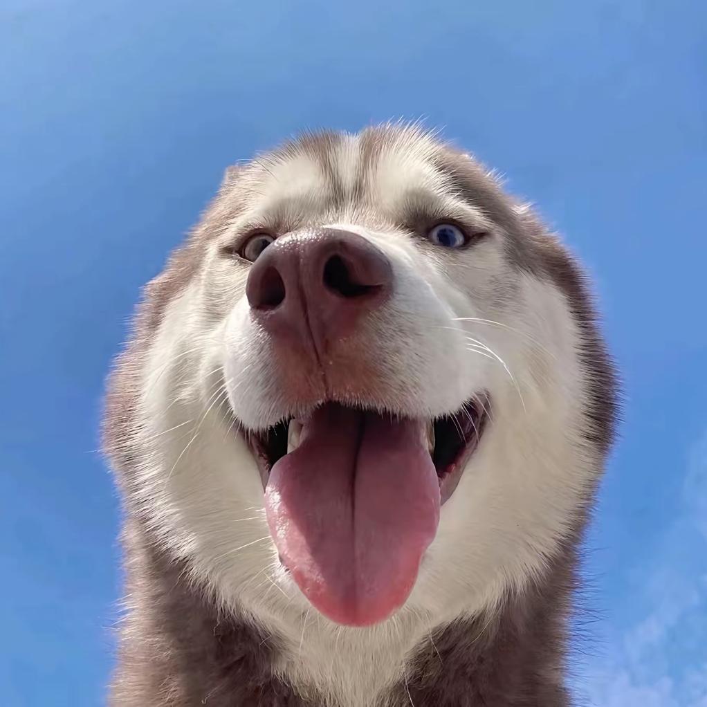阿泽