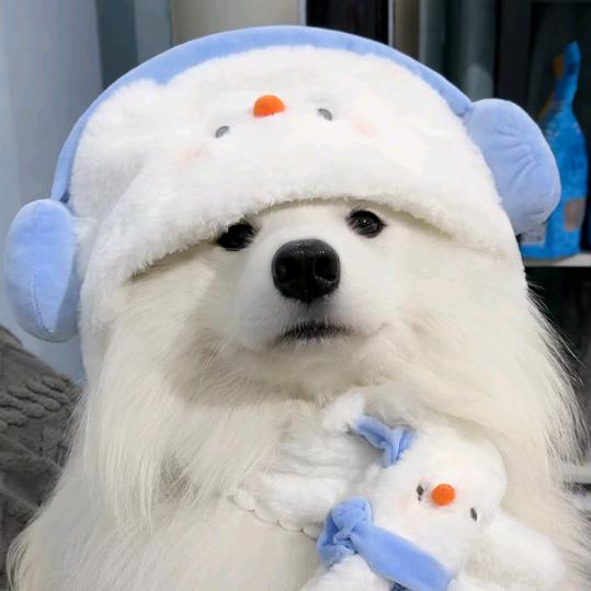不睡觉的小羊