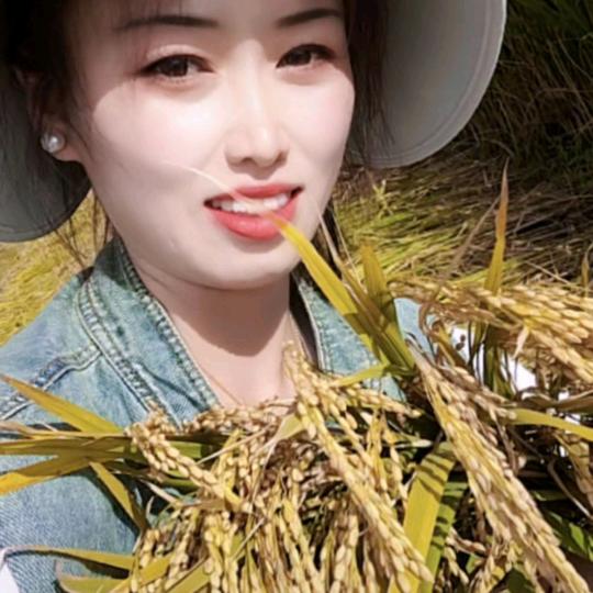 小陈家【原阳大米】