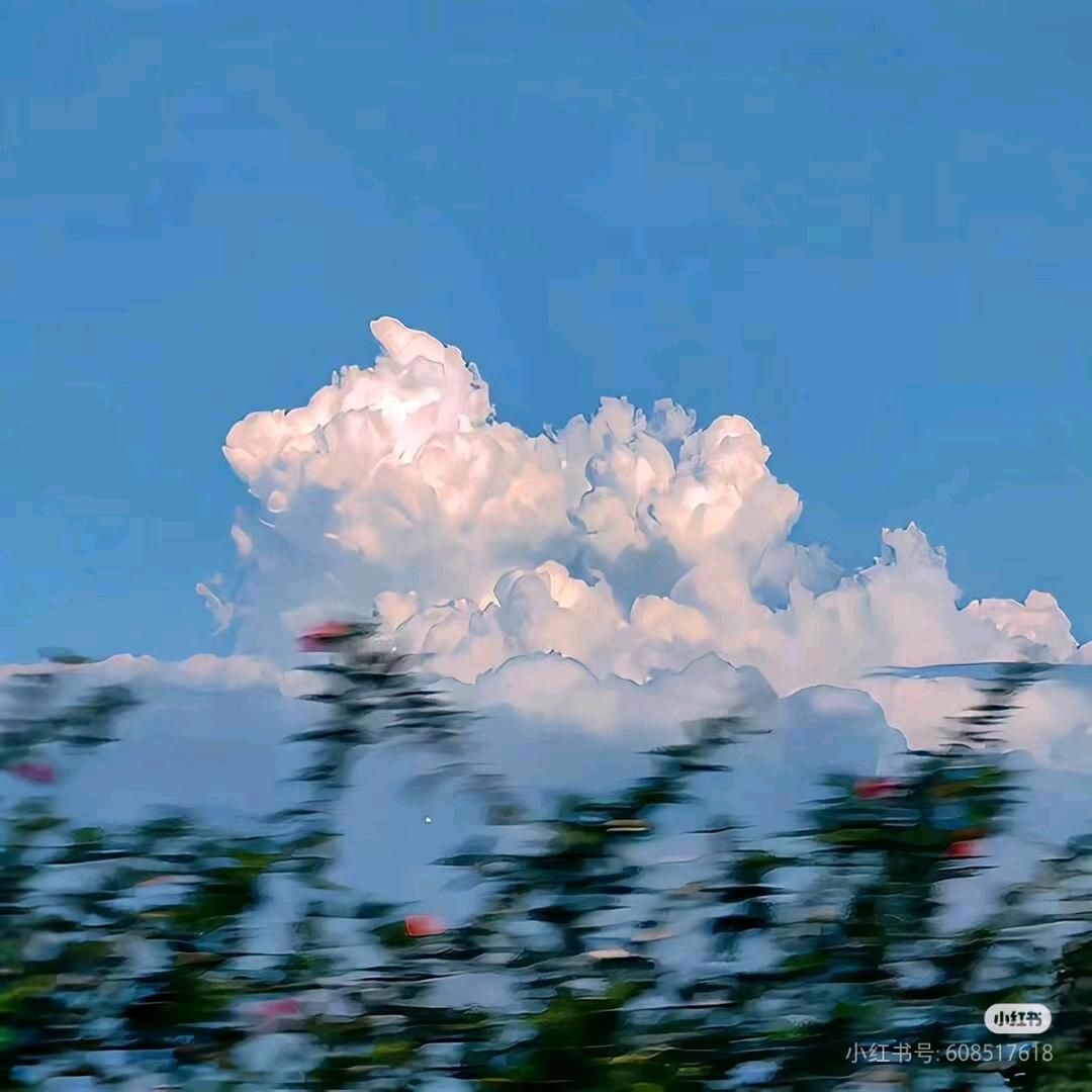 ❀❀