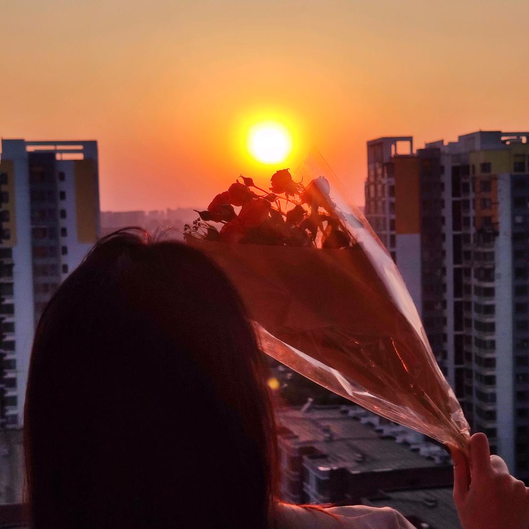 向着夕阳头像