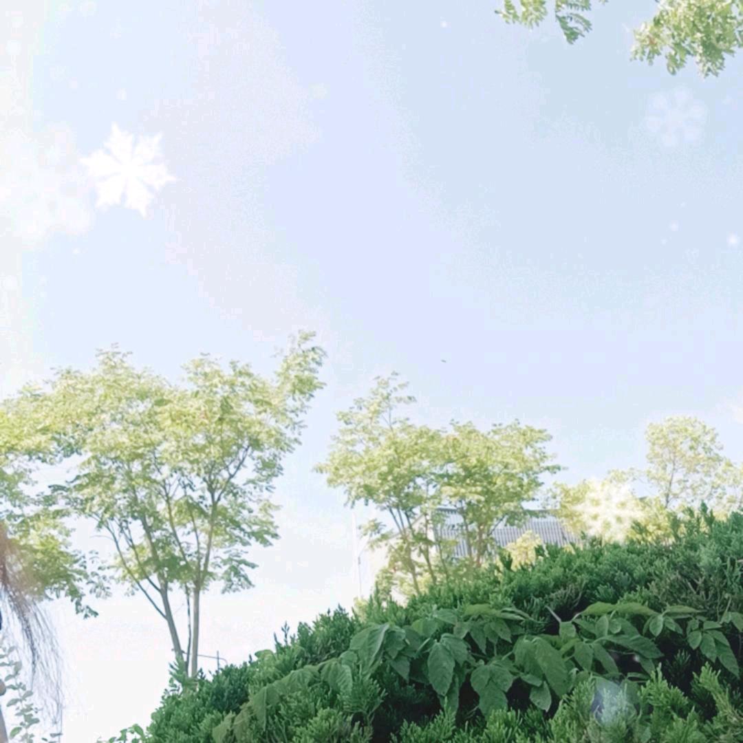 我只是用你待我的方式待你