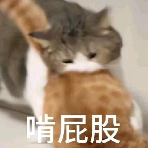 明月照孤舟