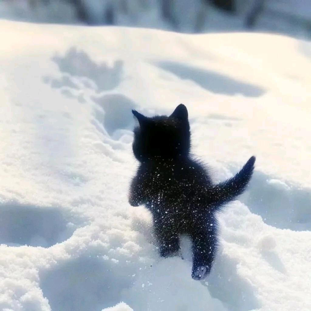 ᯤ⁵ᴳ
