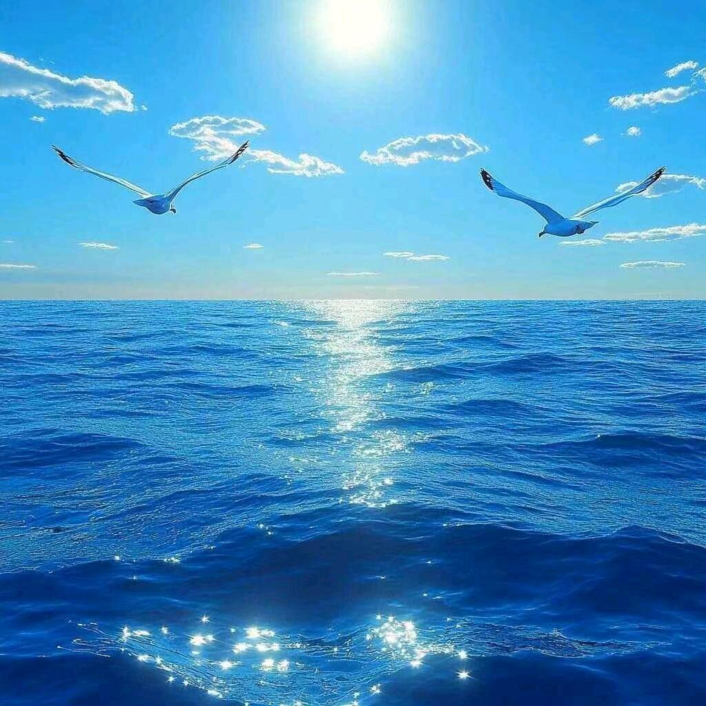 静水流深66855