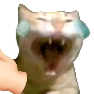 猫meme大笑