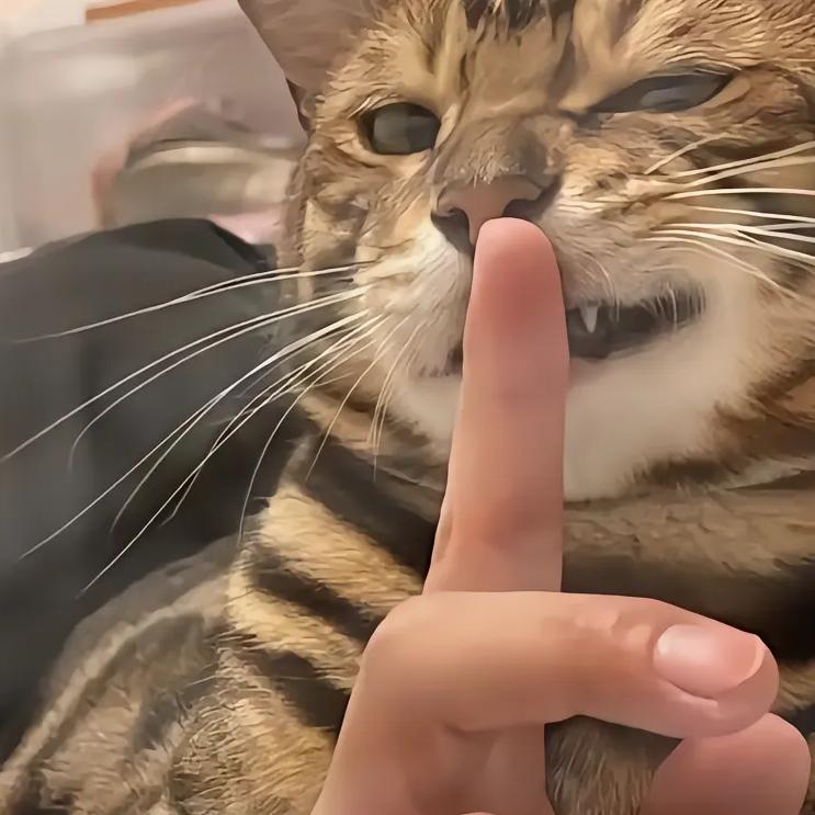 老百